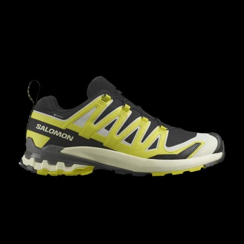 Salomon XA Pro 3D V9 GORE-TEX 'Black Sulfur Spring Pewter'