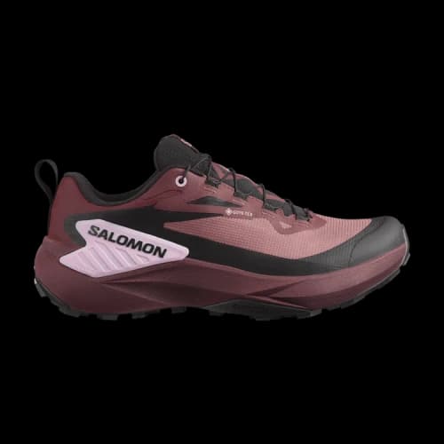 Salomon Genesis GORE-TEX 'Rose Taupe' (Women's)