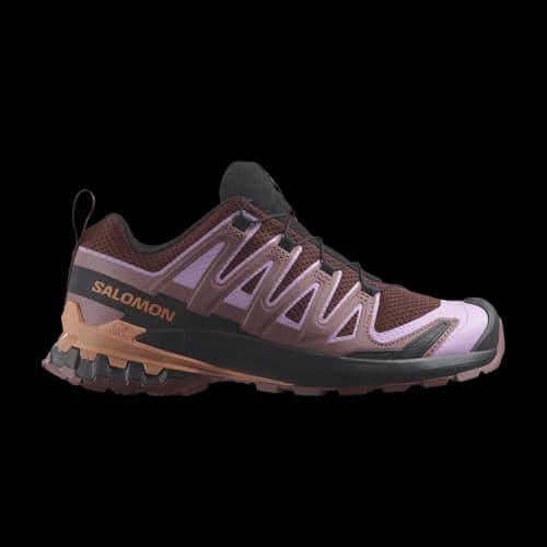 Salomon XA Pro 3D V9 Rum Raisin Orchid Bouquet Canyon Clay (Women's)