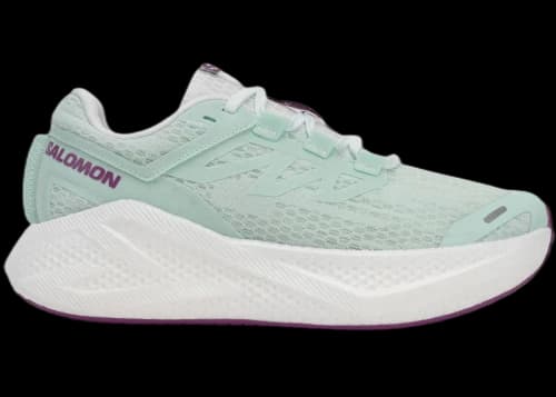 Salomon Aero Glide 3 Bay White Wilowherb (Women's)
