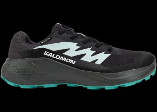 Salomon Alphaglide Gore-Tex Hantom Urban Chic Waterfall (Women's)