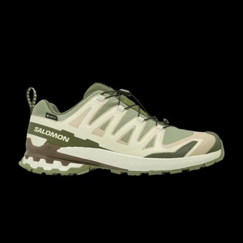 Salomon XA Pro 3D V9 GORE-TEX 'Lichen Green Safari'