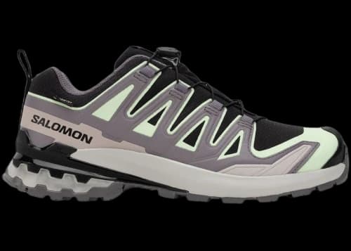 Salomon XA Pro 3D V9 Gore-Tex Black Patina Green Grey Violet (Women's)