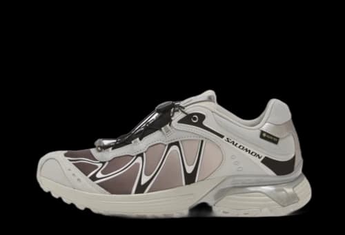 Salomon XT-Whisper Gore-Tex Gray Violet Black Silver