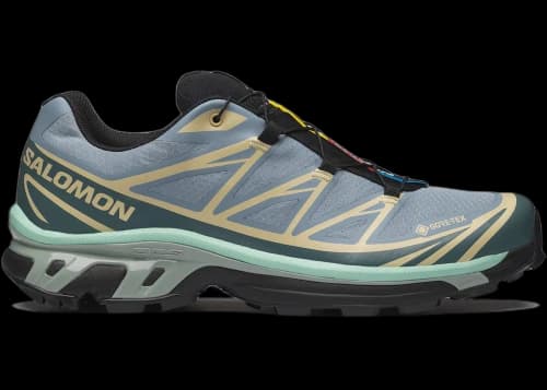 Salomon XT-6 Gore-Tex Tradewinds Stormy Weather Bog