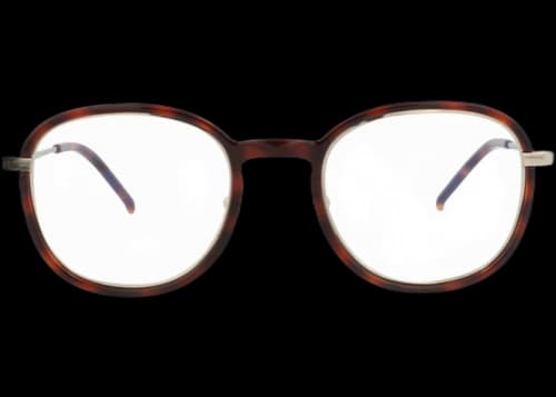 Saint Laurent Round-Frame Injection Optical Frames Havana Gold Transparent (SL436OPT-30012250-002)
