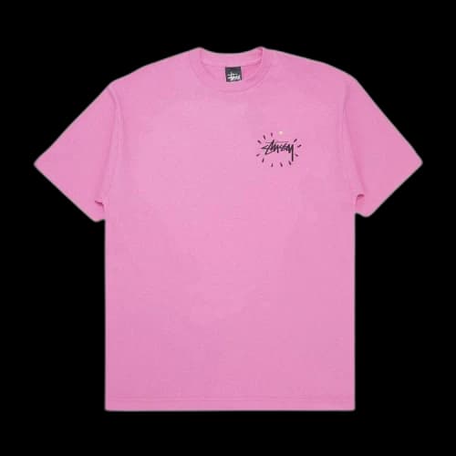 Stussy Cropped Skull Tee 'Pink'