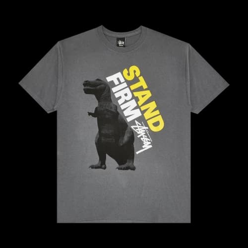 Stussy Dino Stand First Tee 'Charcoal'
