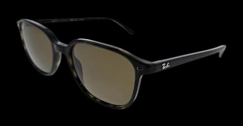 Ray-Ban Leonard Square Sunglasses Polished Tortoise (0RB2193 902/57)