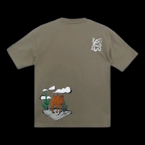 Converse Desert Graphic Tee 'Brownish Green'