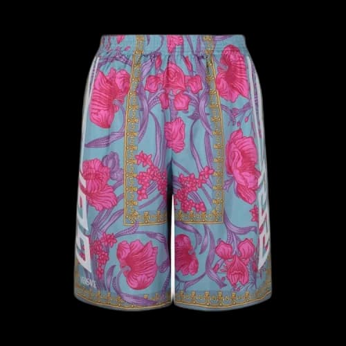 Versace Shorts 'Multicolor'