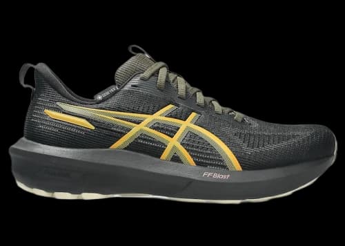 ASICS GT-1000 14 Gore-Tex Black Sandstorm (Women's)