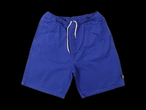 Stussy Brushed Beach Shorts Royal