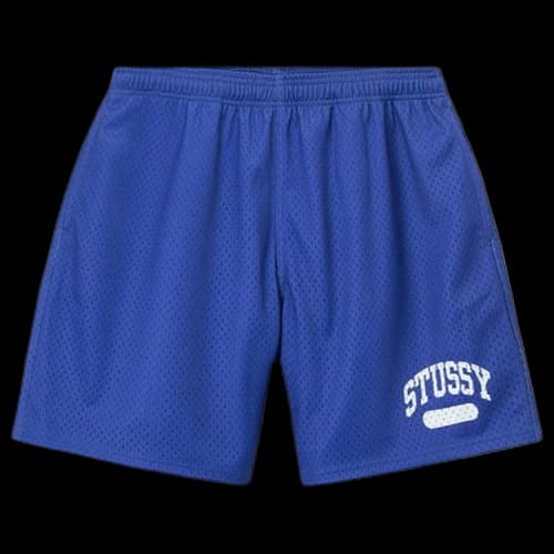 Stussy Arch Mesh Short Purple