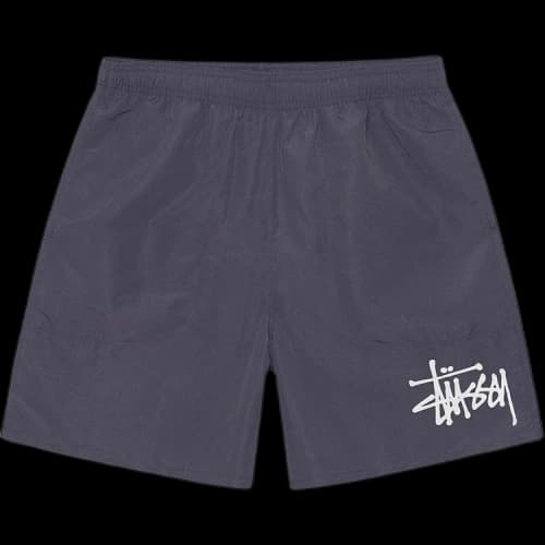 Stussy Big Basic Water Shorts 'Greystone'