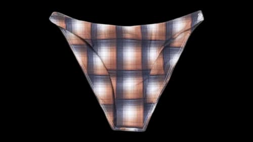 Stussy Women's Bikini Bottom Brown Plaid