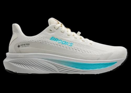 Brooks Ghost 17 Gore-Tex Coconut Oyster Blue (Women's)