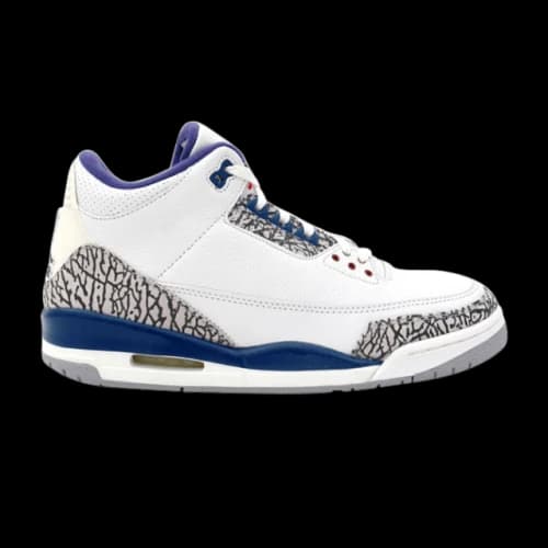 Air Jordan 3 Retro 'True Blue' 2009 Sample