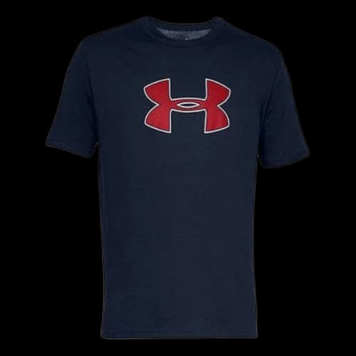 Under Armour UA Big Logo Training Sports Blue