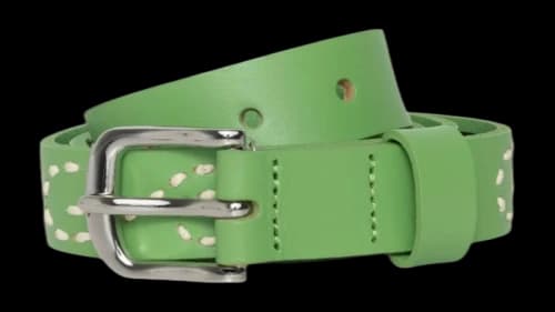 Stussy Embroidered S Belt Jade