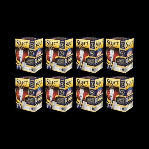 2020-21 Panini Select Basketball Blaster Box (Flash Prizms) 8x Lot