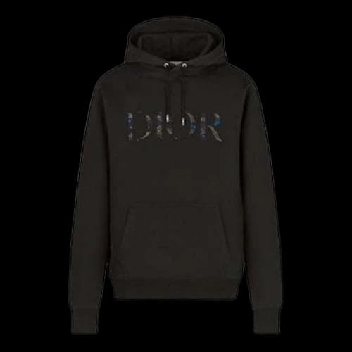 Dior x Peter Doig Logo Hoodie Black
