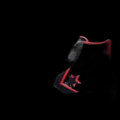 Converse Pro Leather Double Logo High Top 'White Black Red'
