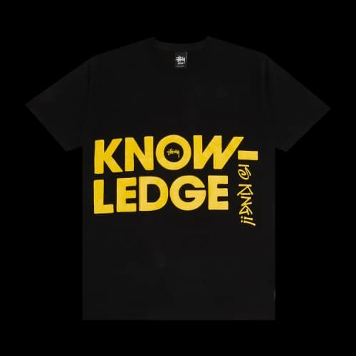 Stussy Big Knowledge Tee 'Black'