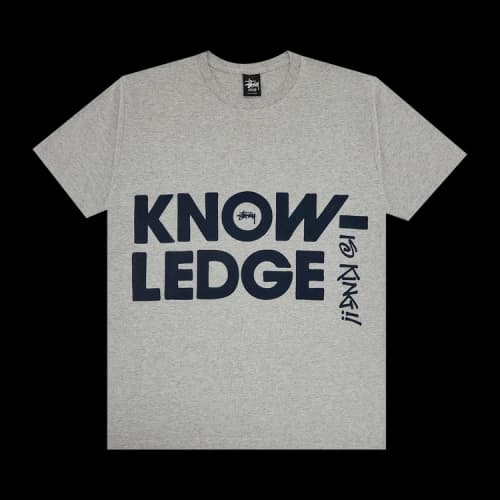 Stussy Big Knowledge Tee 'Grey Heather'