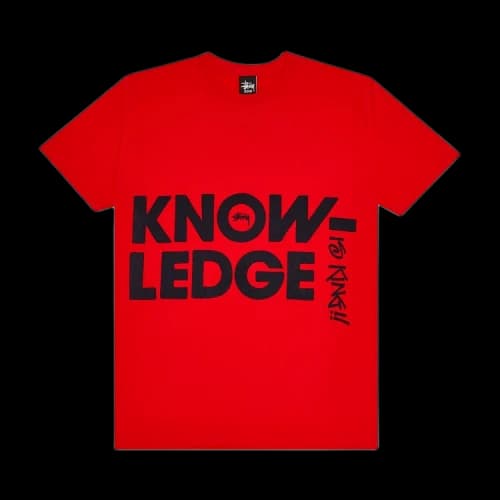 Stussy Big Knowledge Tee 'Red'