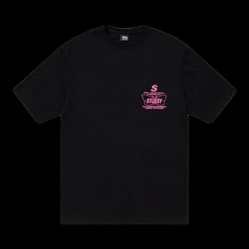 Stussy All Natural Pigment Dyed Tee 'Black'
