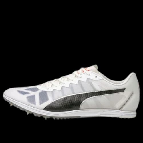 PUMA Evospeed Sport Shoes Gray/Black