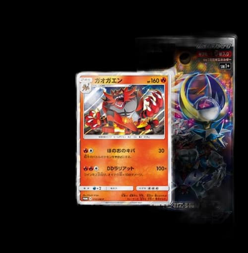 Pokémon TCG Collection Sun/Collection Moon Gaogaen Special Set (Japanese)
