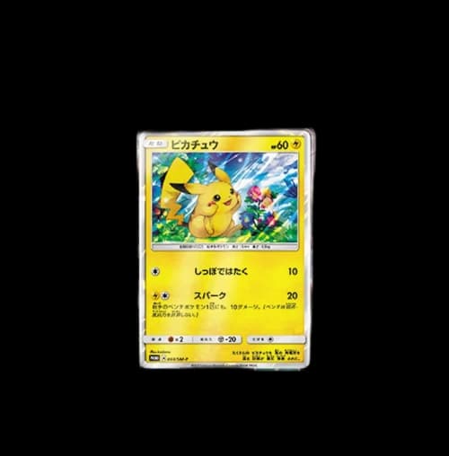 Pokémon TCG Collection Sun/Collection Moon Islands Await You/Alolan Moonlight Pikachu Special Set (Japanese)