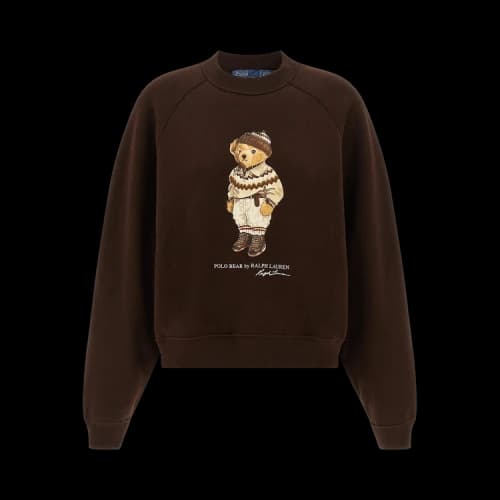 Polo Ralph Lauren Arctic Fleece Knit Long-Sleeve Crew Neck Sweatshirt 'Circuit Brown'