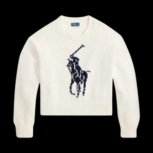 Polo Ralph Lauren Cotton Crew Neck Sweater 'White'
