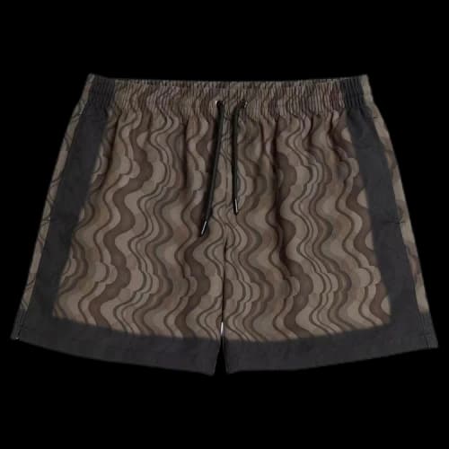 Dries Van Noten Phibbs Swim Shorts 'Brown'