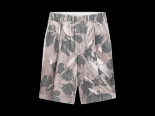 Dries Van Noten Plato Jp Pants Dessin C