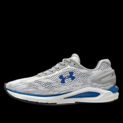 Under Armour Charged Carbon Gray