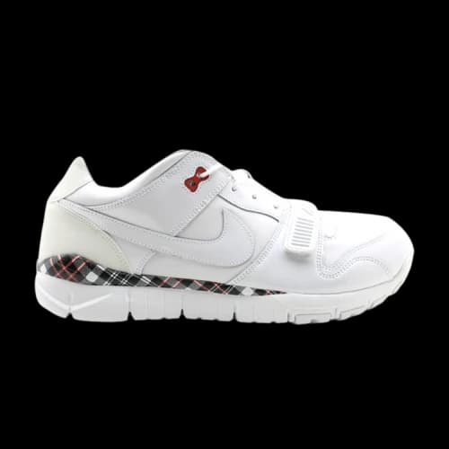 Nike Trainer Dunk Low