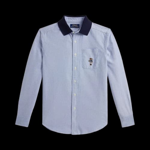 Polo Ralph Lauren Long-Sleeve Classic Oxford Novelty Bear Sport Shirt 'Blue'