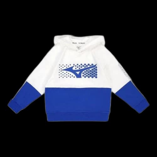 (PS) Mizuno Casual Hoodie 'Blue'