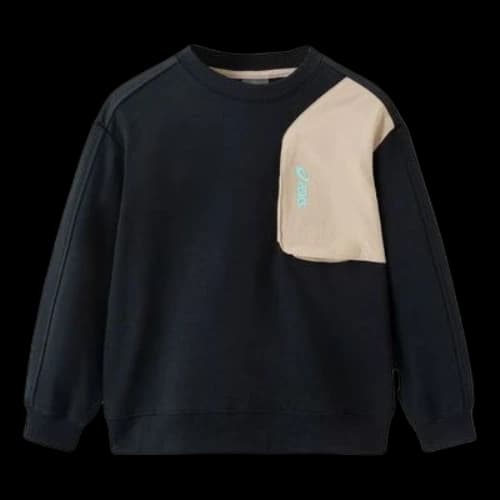 (GS) ASICS Color Block Sweater 'Black Beige'