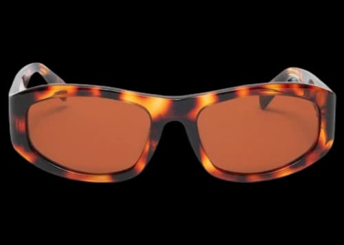Stussy Landon Sunglasses Garnet Tortoise/Berry Lens