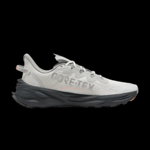 Puma Fast-Trac Nitro 3 GORE-TEX 'Dusky Gray Gray Echo'