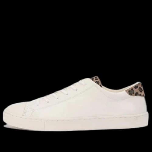 Converse All Star Coupe Pointanimal OX 'White'