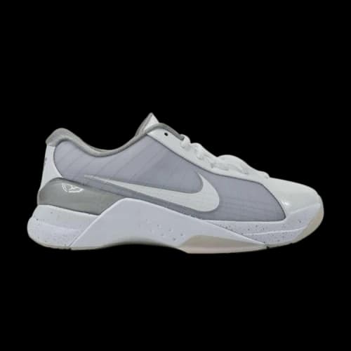 Nike Hyperdunk Low