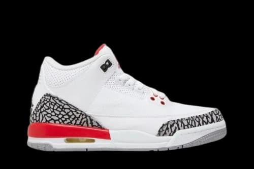 Sneaker Politics x Air Jordan 3 Retro GS 'Hall of Fame'
