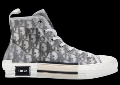 Dior B23 High Top Logo Oblique