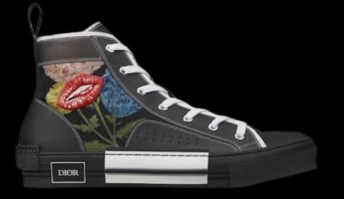 Dior B23 High Top Raymond Pettibon